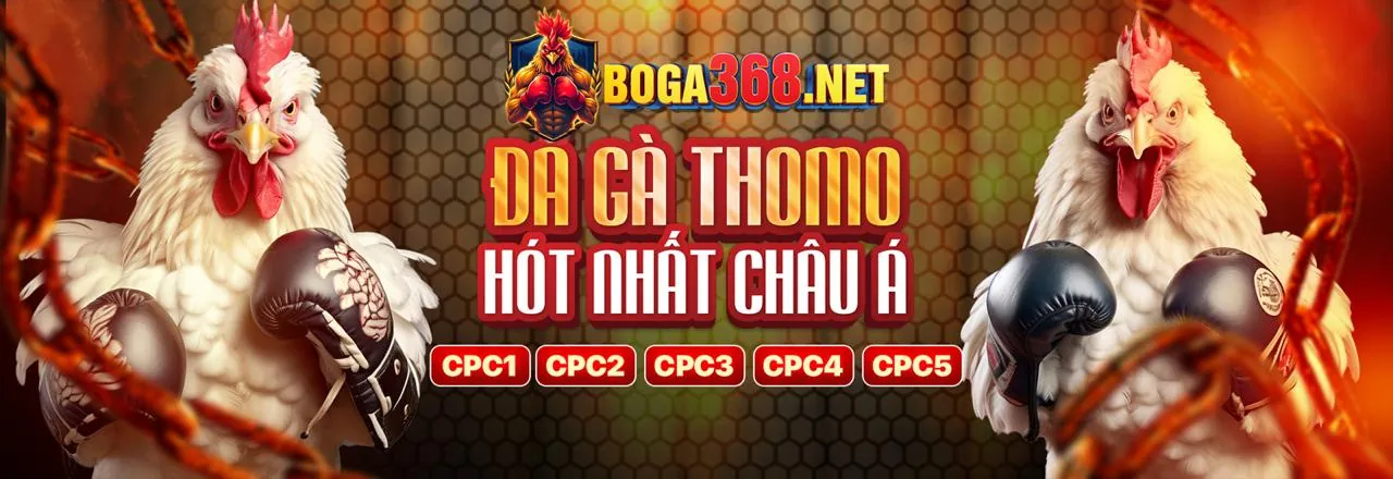 Đá Gà Trực Tuyến Zom Link Mới