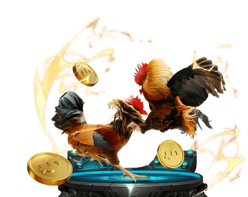 Hình ảnh giới thiệu thương hiệu Zom Link Mới